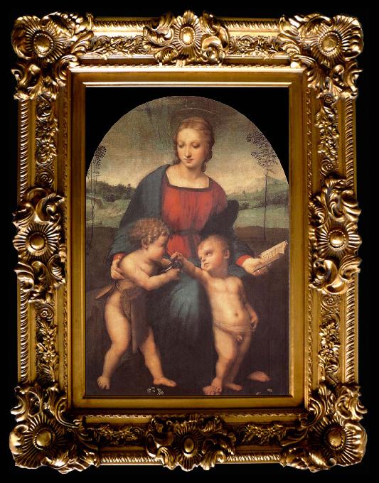 framed  Aragon jose Rafael The Madonna of the goldfinch, Ta012